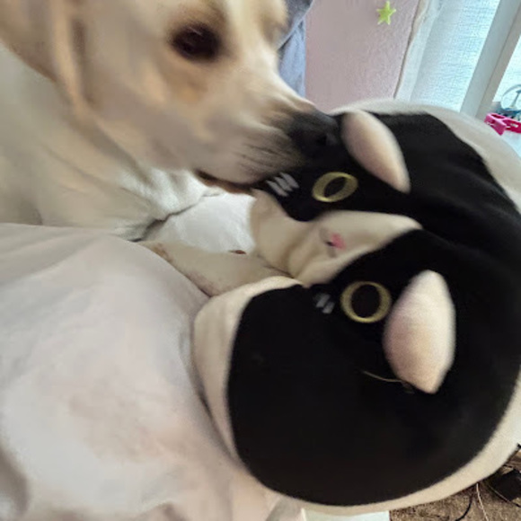 Meet your Posher, Seyoun - Picture 1 of 1